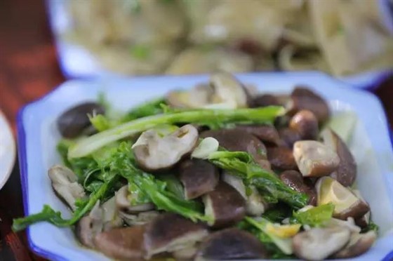 微信图片_20170720094314.jpg