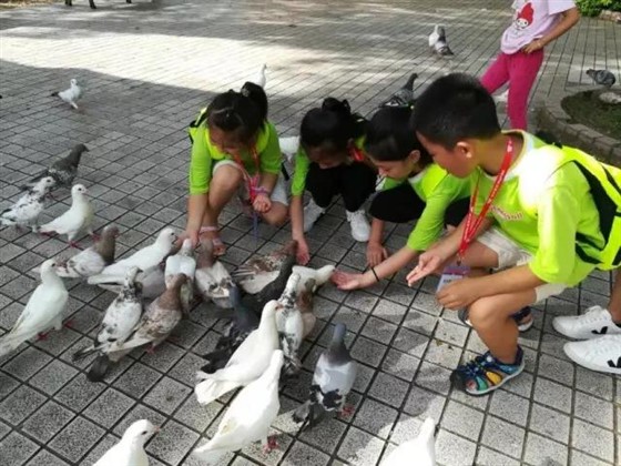 微信图片_20170726095135.jpg