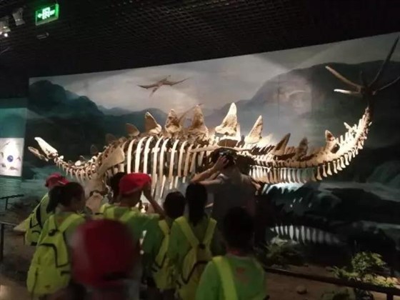 微信图片_20170728155300.jpg