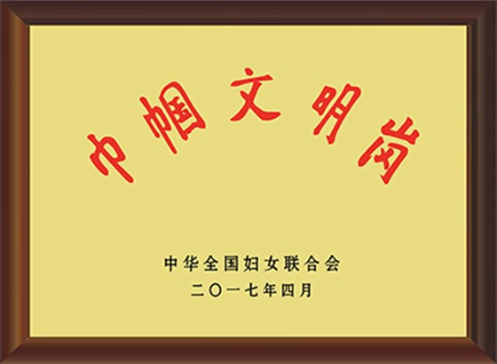2017全国巾帼文明岗
