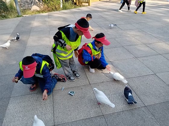 贝尔安亲加盟
