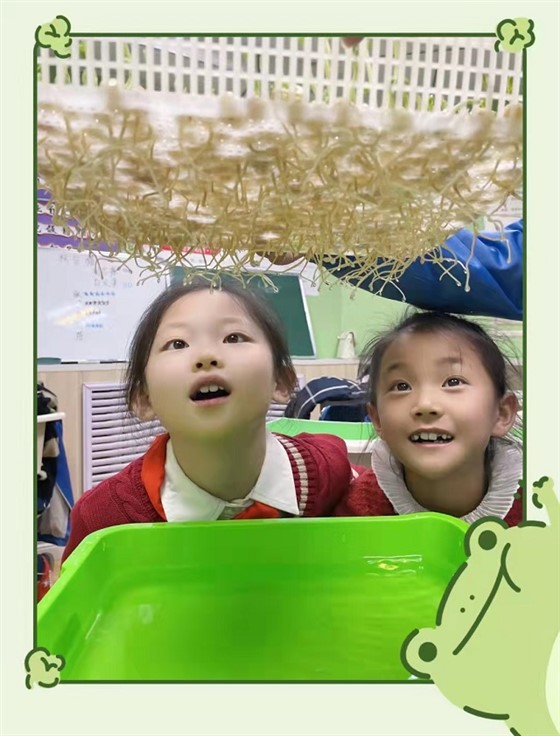 小学托管加盟