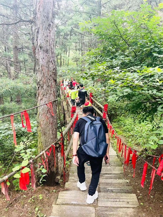 贝尔安亲加盟