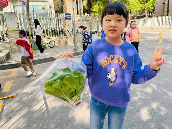 小学托管加盟