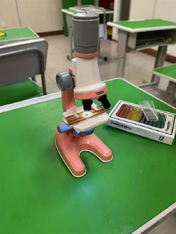 贝尔安亲加盟