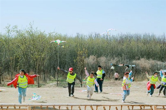 图片3