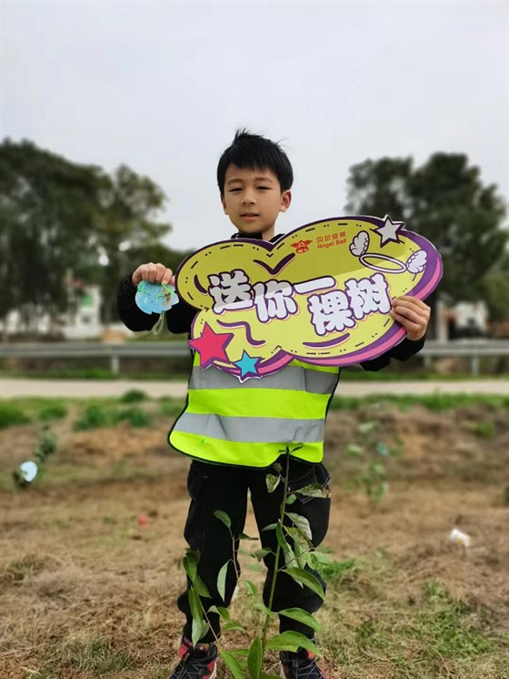 图片3