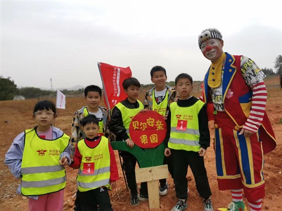 图片5