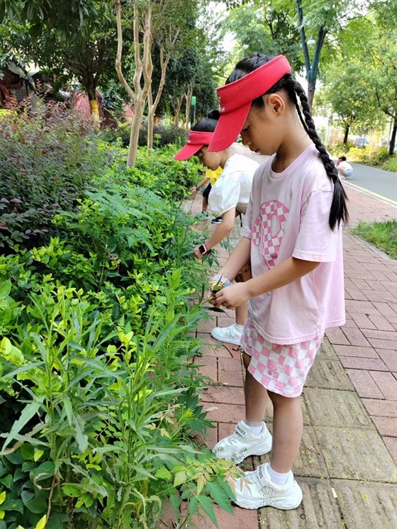图片3