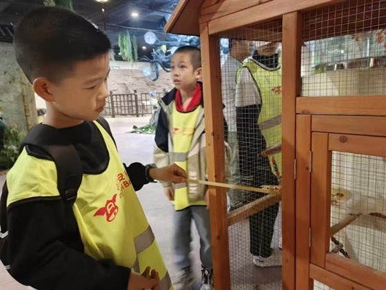 7ae1f2ca0270cafa9f86206aa93645c