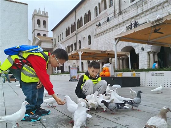 eea74739f9cd4082a4a545f33db2ee7