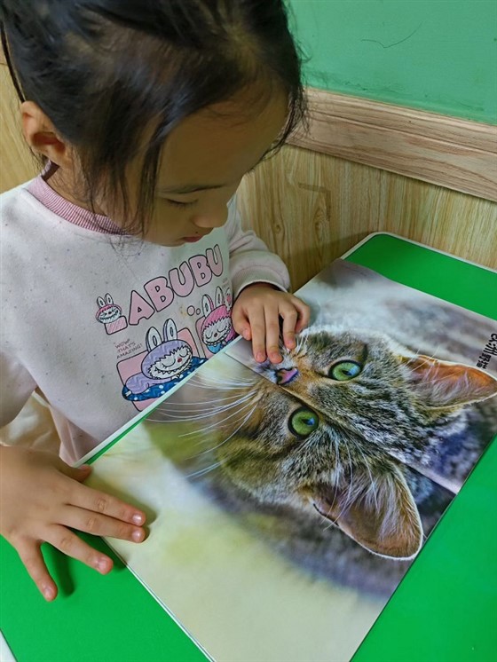 bdfde5614f632bd85398a37363870212 bdfde5614f632bd85398a37363870212