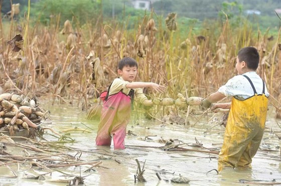 39b05056406761642507086aef36a245 39b05056406761642507086aef36a245