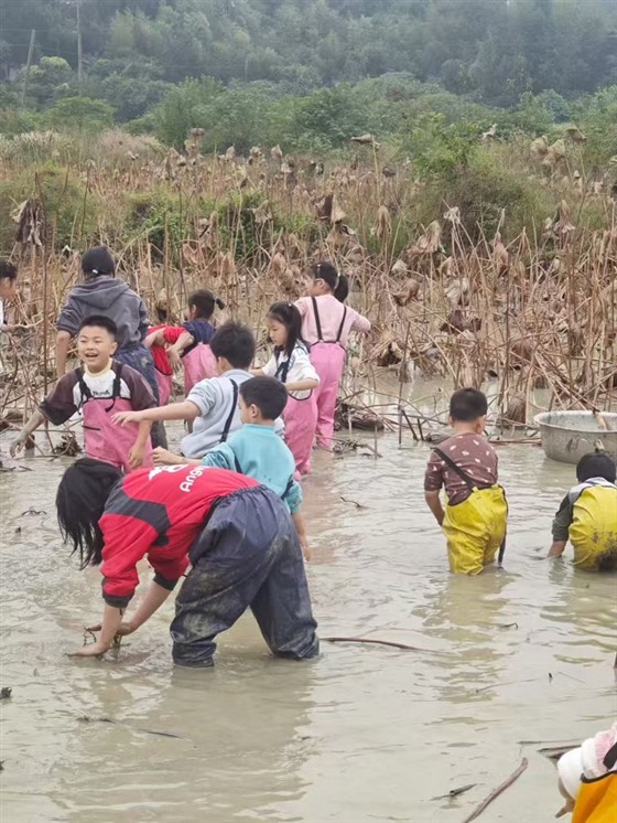 dd218b42c8e329aba8321063b49c8312 dd218b42c8e329aba8321063b49c8312