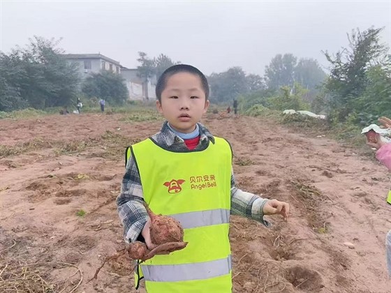 4297420f0beddc08cff475d00a59b5fd