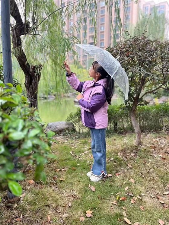 380e7c8ec586dd62c4b32e72d317c9e2