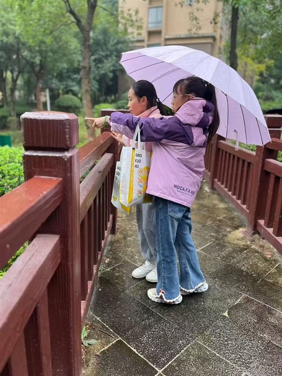 bd7f48923c3dbda0afc8882411146848