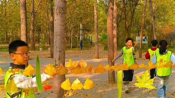 53bdf6a58790b177c4b89f9939d89c72