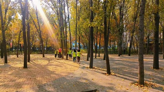 209dbcdc262bf24f764affbd86c3d1a1