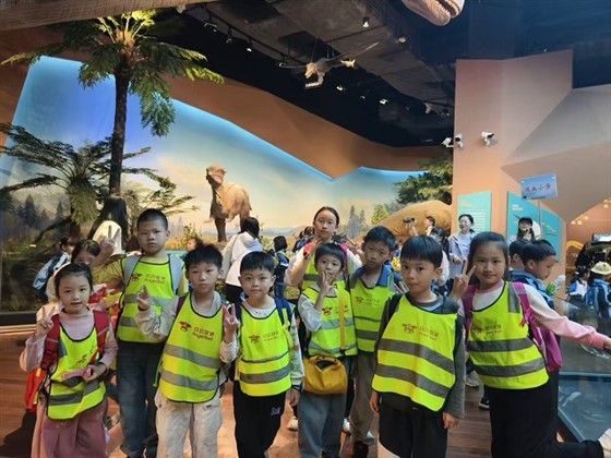 4ff1db15e0eecc5295dbefb33b33895a