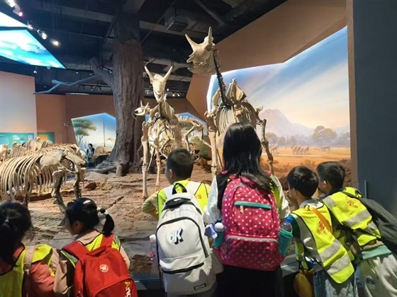 aff61a9f95acf453bea1d8f87a049856