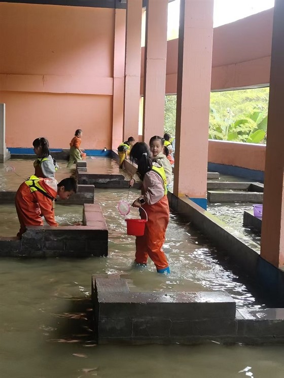 13fb4dc5d7f9238c10d8bf909606266b