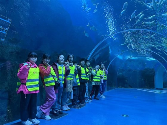 7e316dc680cdc40c94b0b6ad8be29e0b