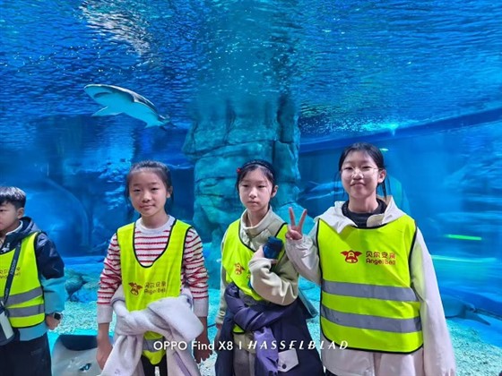 f8d0be8e0945dd48fe02866fc1607bbf