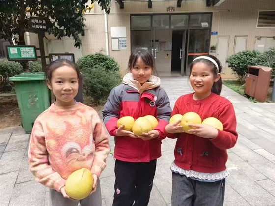 05744359ccbe8ce9362039a56b9f0e36