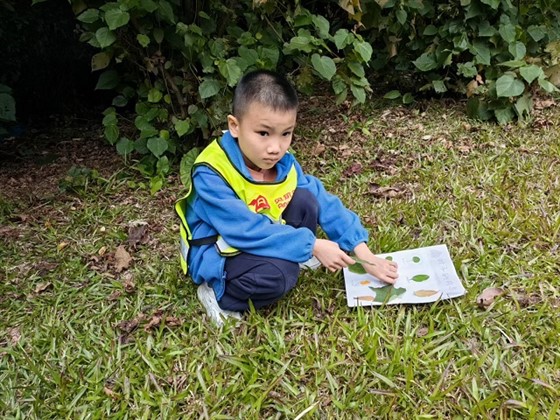 b6d90c9f0c6bdbbbc6d489ee0bf5d826