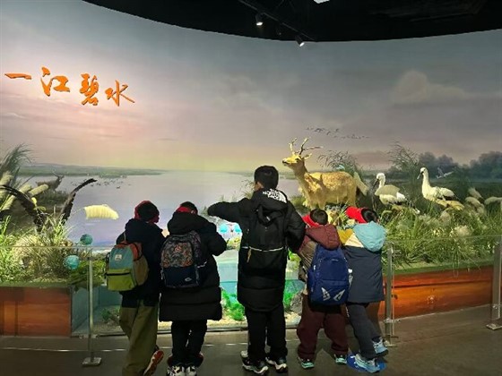 aa32595997c6eaee3923847e608e4605