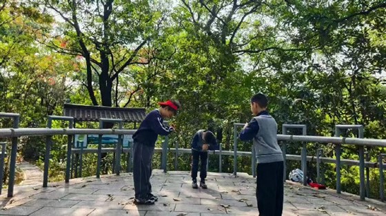 6e28a7c7d21ec2d3f5ec2dddda3e0301