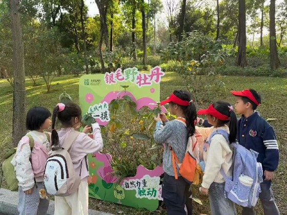 efa64b6e82fbf8850a565a0ea0955480