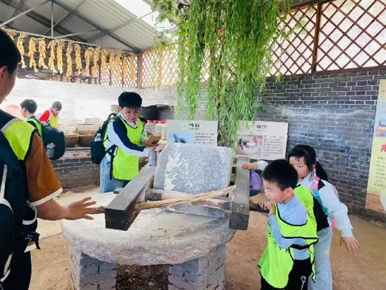 f4130368eb835ea1e990b4dc7da2fe2a