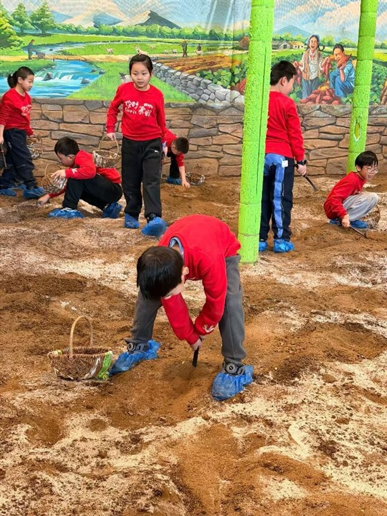 fcfe519832107500e733d057de81c858