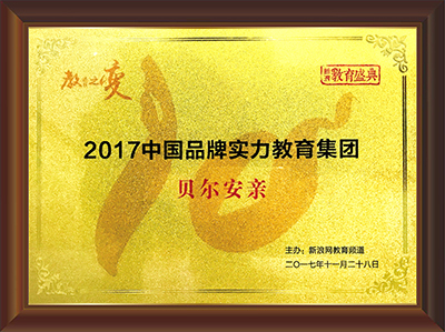 荣获新浪“2017中国品牌实力教育集团”