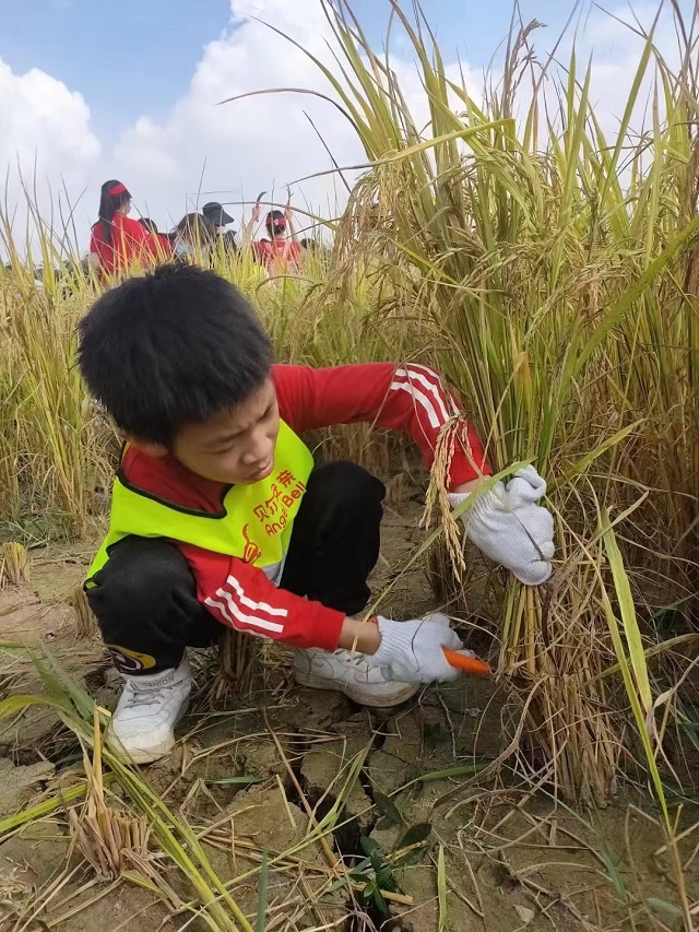 小学托管加盟