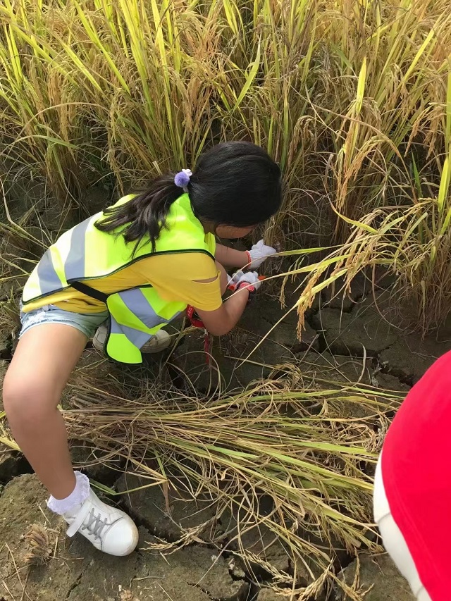 小学托管加盟