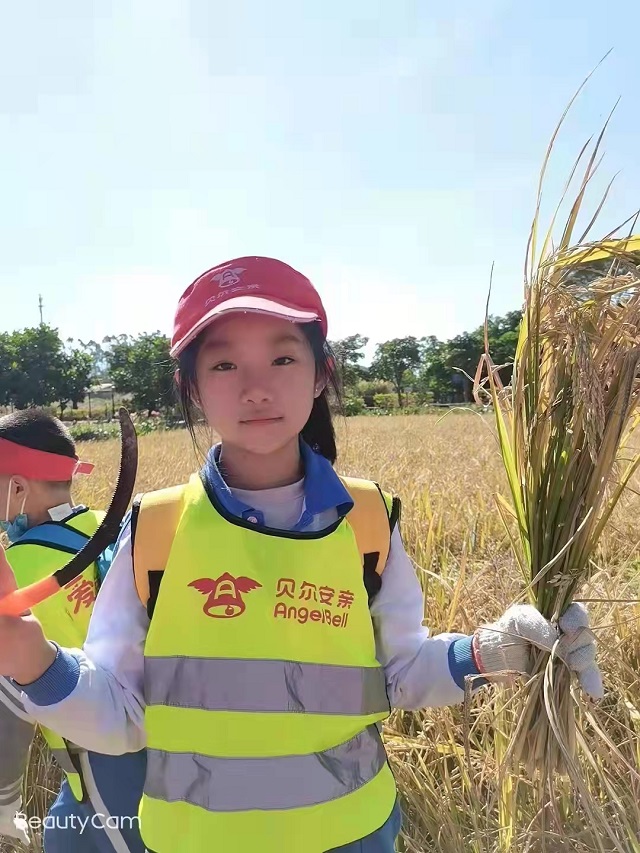 托管加盟