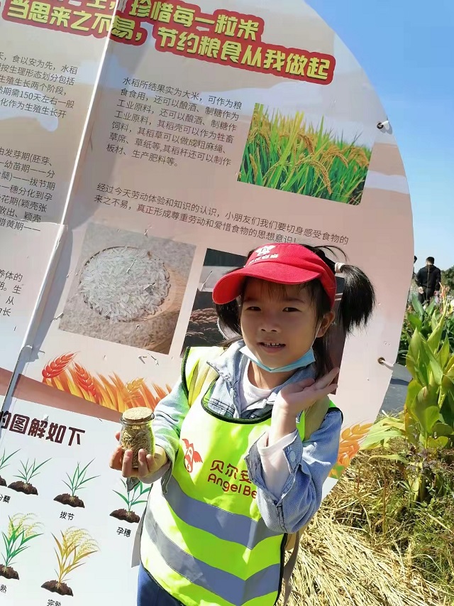 贝尔安亲加盟