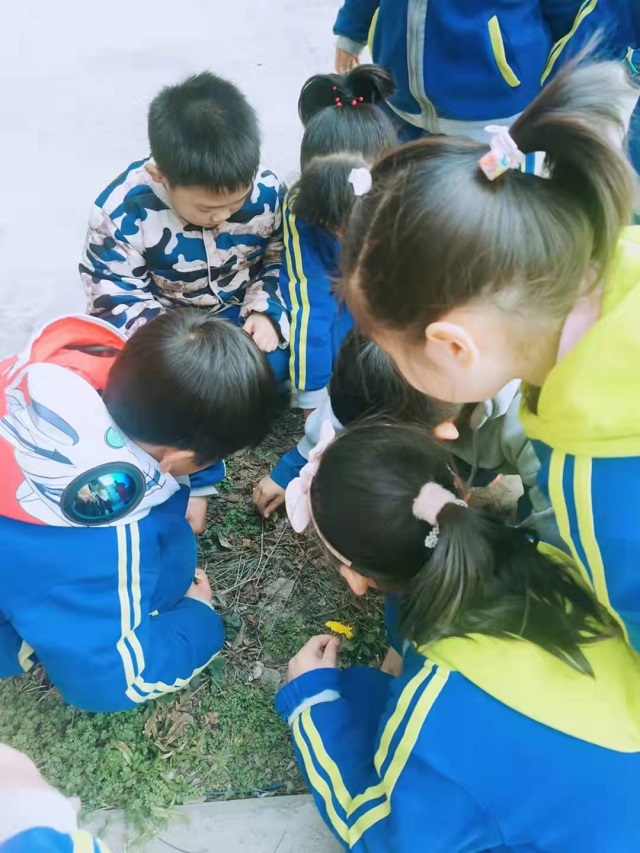 小学托管加盟