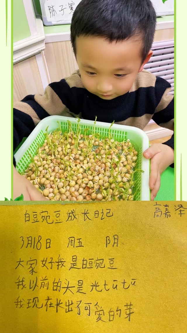 贝尔安亲加盟