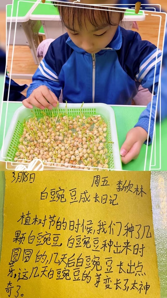 贝尔安亲加盟