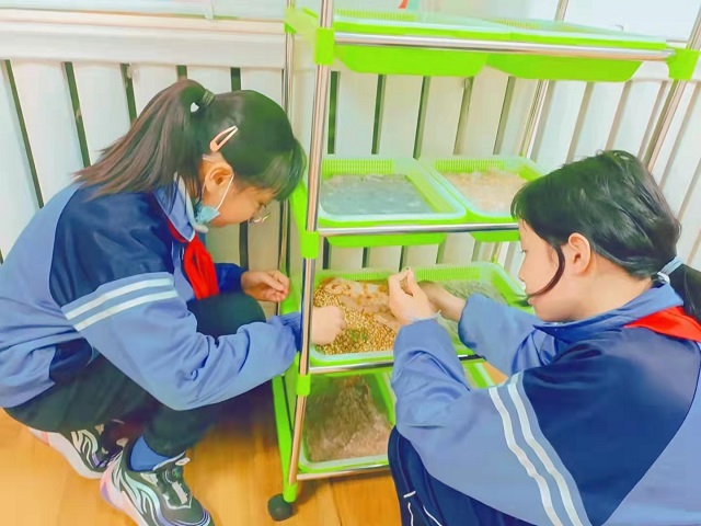 小学托管加盟