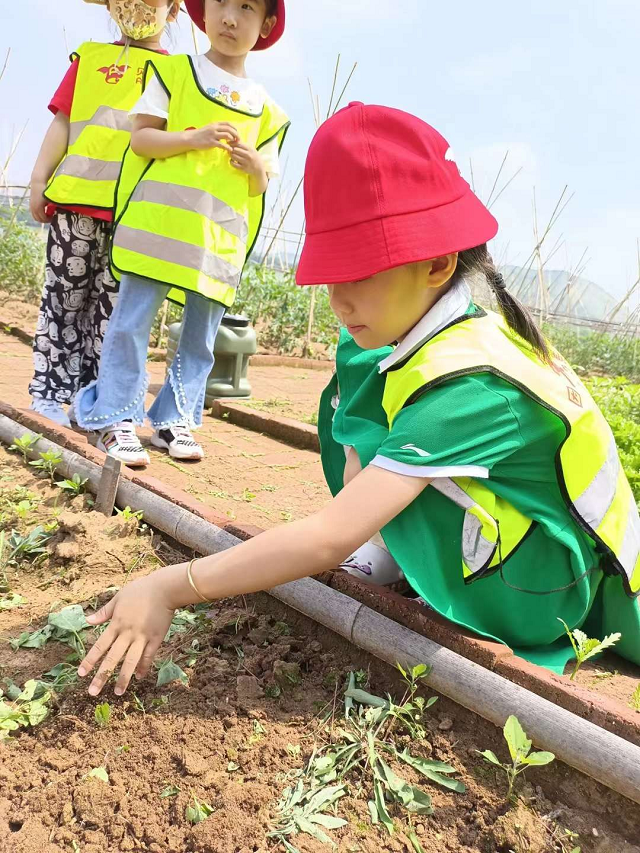 小学托管加盟