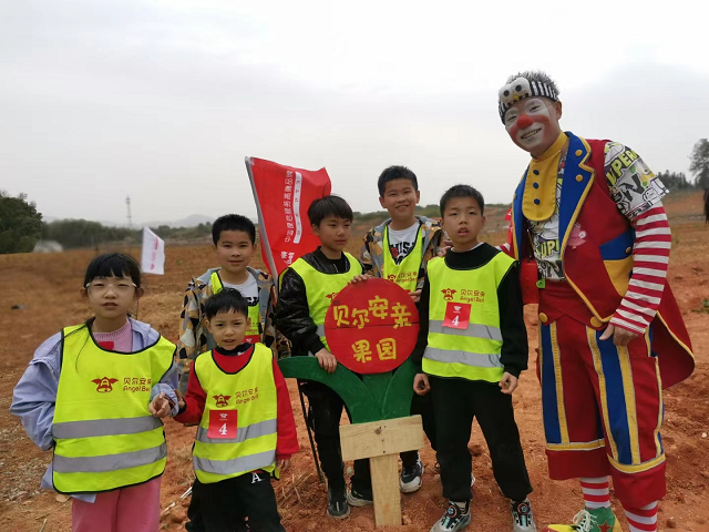 图片5