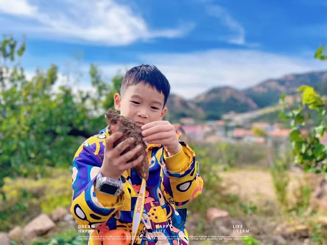 0d58a66790e8c968906b74f932dcc26a 0d58a66790e8c968906b74f932dcc26a