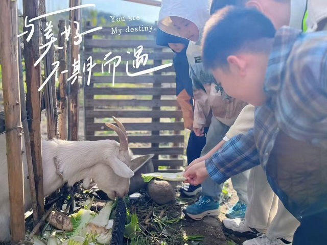 78a79f5509aac7bb135d3423d4fd7eb7 78a79f5509aac7bb135d3423d4fd7eb7