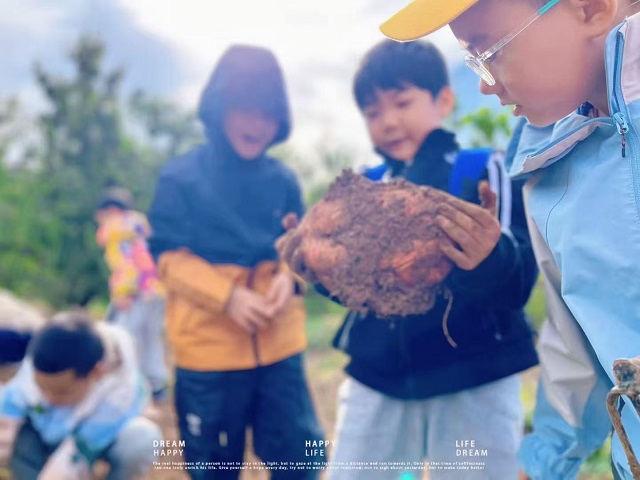 a708152832ee8eece0d9bc56034e3d34 a708152832ee8eece0d9bc56034e3d34