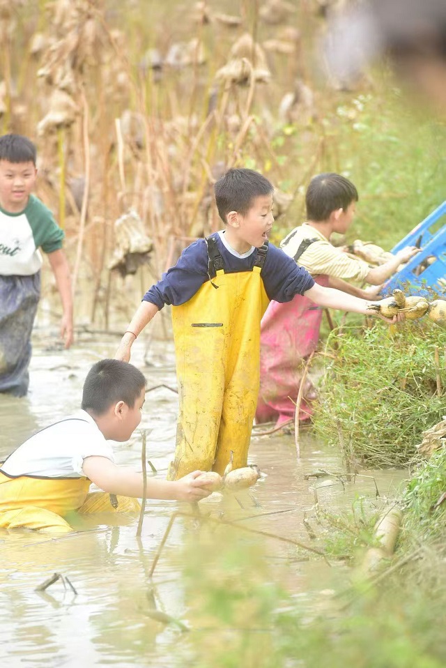 4c806a9a83e4c7fdf6ab48eeece285e0 4c806a9a83e4c7fdf6ab48eeece285e0